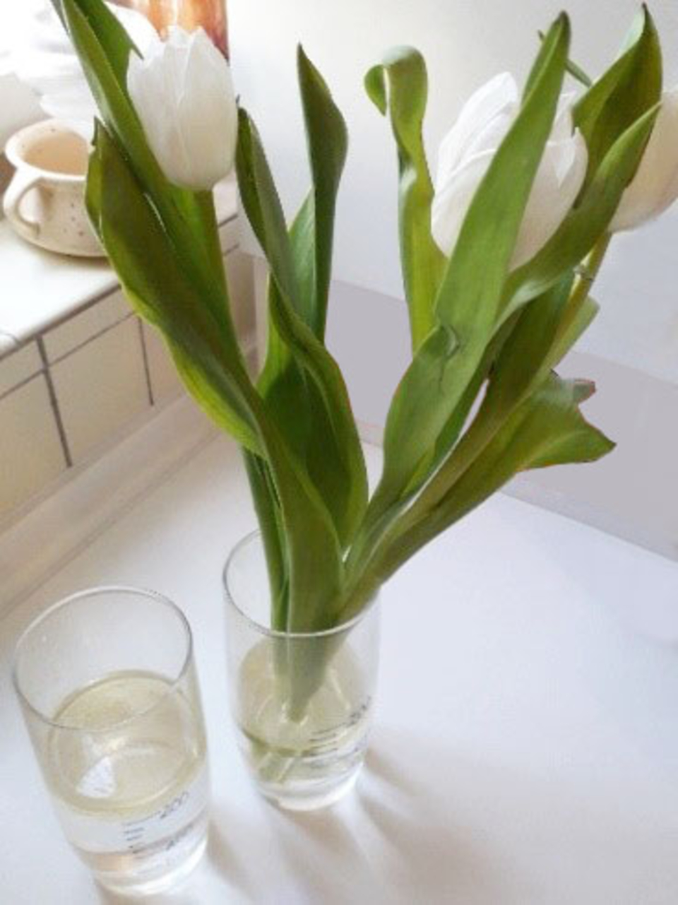 Das Bild zeigt eine Glaskaraffe mit Wasser und zwei Gläser, in denen frische, weiße Tulpen in einem Glasbehälter arrangiert sind. Die lebendigen Tulpen verleihen der Szene eine frische und einladende Atmosphäre.