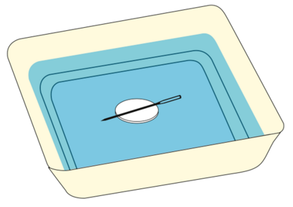 Das Bild zeigt ein Behältnis mit einer Wasserfläche, in dem ein kleiner Teller mit einer darin liegenden Nadel platziert ist. Das Design ist einfach und eignet sich gut für experimentelle Zwecke im Bildungsbereich.