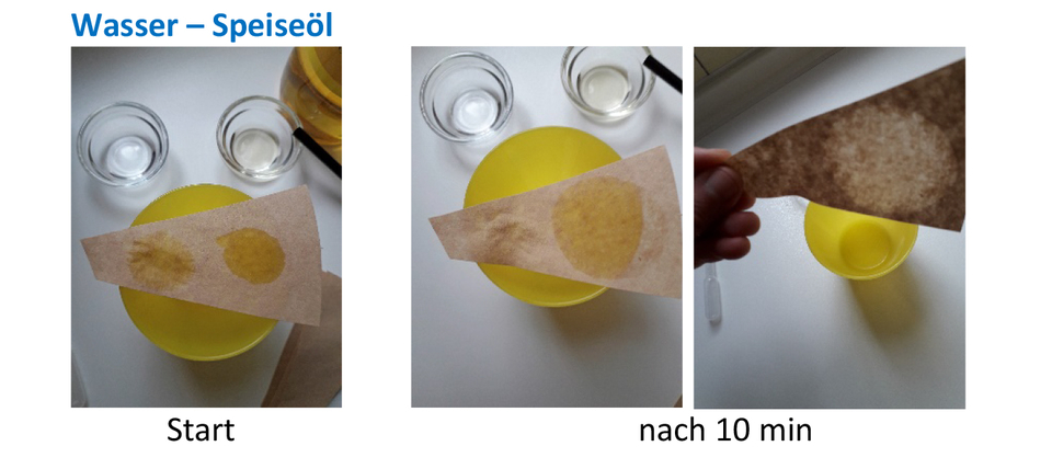 Das Bild zeigt ein Experiment, das den Unterschied zwischen Wasser und Speiseöl veranschaulicht. Es sind zwei Schalen mit Flüssigkeiten und ein Papiertuch zu sehen, das nach 10 Minuten unterschiedliche Flecken von Wasser und Öl zeigt.