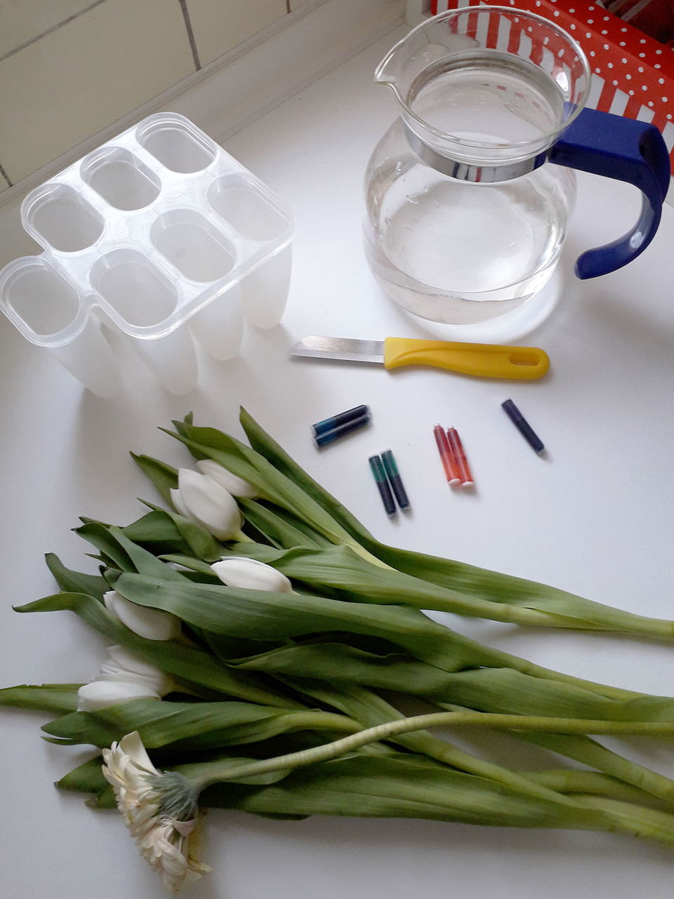 Auf dem Bild sind frische, weiße Tulpen mit langen Stielen, eine Kanne mit Wasser, ein Behälter für Wasserproben und einige Filzstifte zu sehen. Diese Materialien scheinen für ein Experiment oder eine kreative Aktivität im Bildungsbereich genutzt werden z