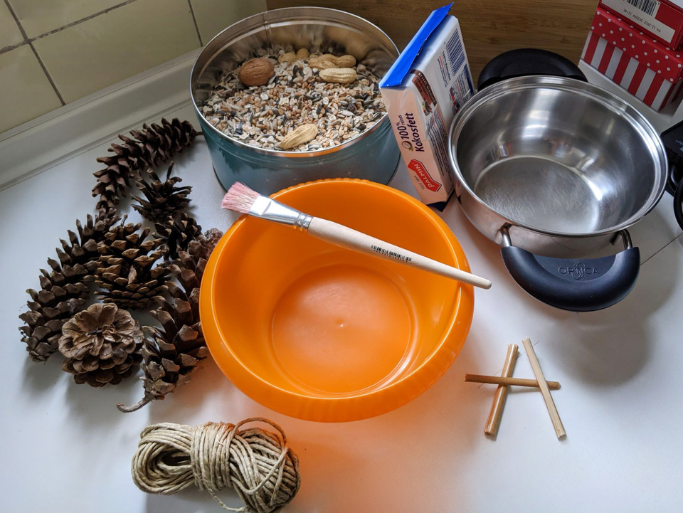Das Bild zeigt eine Vielzahl von Materialien für Experimente, darunter ein oranger Schüssel, eine Schüssel mit Samen und Nüssen, Kiefernzapfen, Bastelschnur und Holzstäbe. Diese Gegenstände könnten für eine Vogelfutterstation verwendet werden.