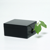 Das Bild zeigt eine schwarze, quadratische Box mit einem kreisförmigen Loch, aus dem ein grüner Pflanzenstängel mit zwei Blättern herauswächst. Die Kombination aus der eleganten Box und der Pflanze vermittelt einen interessanten Kontrast zwischen Natur und Design.