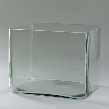 Das Bild zeigt einen transparenten, rechteckigen Behälter aus Glas. Er hat abgerundete Kanten und eignet sich ideal für verschiedene Experimente im Bildungsbereich.