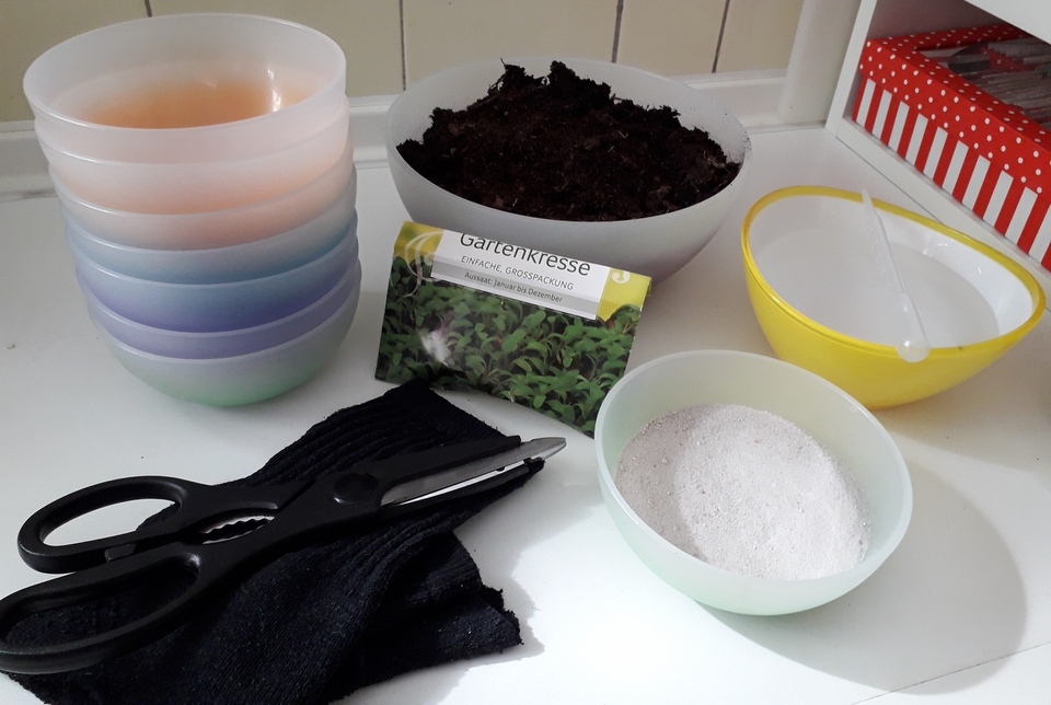Eine Reihe bunter Schalen steht neben Erde, Saatgut für Gartenkresse und mehreren weiteren Utensilien. Dazu gehören eine Schere, eine schwarze Socke, eine kleinere Schale mit Sand und eine gelbe Schale mit Wasser, die für Experimente genutzt werden können.