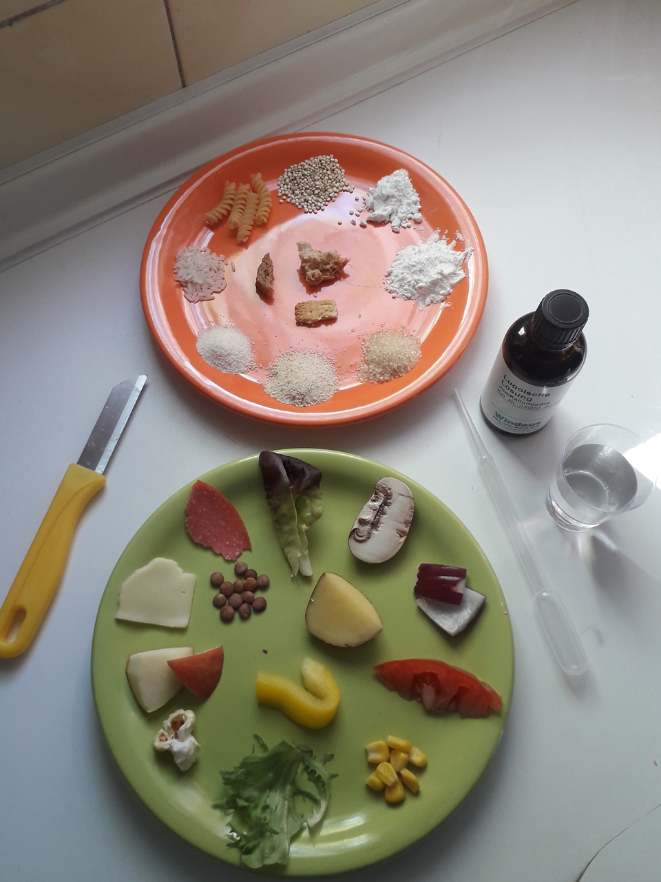 Auf zwei Tellern sind verschiedene Lebensmittel und Zutaten angeordnet, darunter Pasta, verschiedene Sorten Mehl und Gemüse. Neben einem kleinen Messbecher und einer Pipette sind außerdem ein Fläschchen mit einer Flüssigkeit und ein Messer sichtbar.