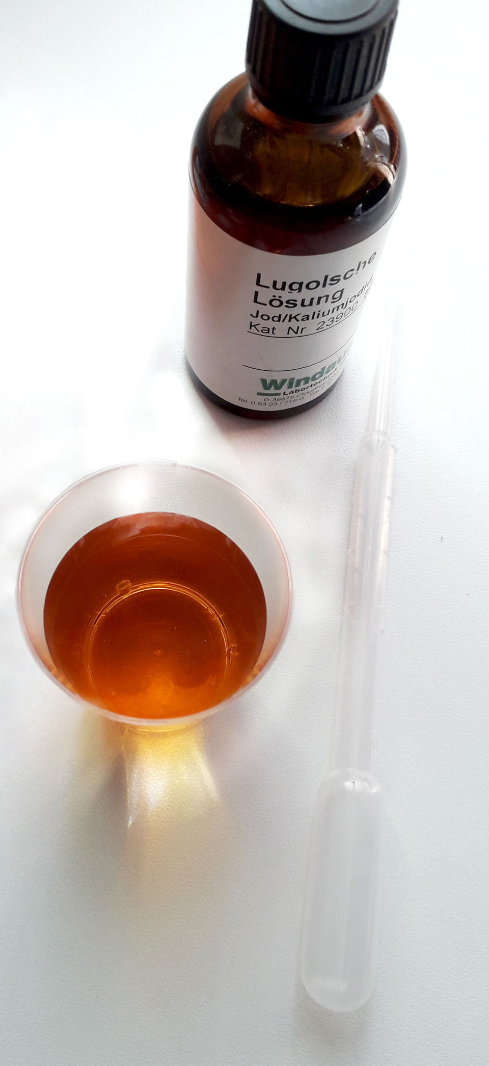 Eine transparente Schale enthält eine orange-farbene Flüssigkeit, während daneben eine Flasche mit der Bezeichnung "Lugol'sche Lösung" steht. Neben der Flasche liegt eine Pipette, die für wissenschaftliche Experimente verwendet werden kann.